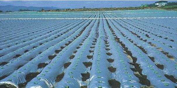 天罡光穩(wěn)定劑對(duì)中溫化學(xué)鍍鎳-磷合金的影響 天罡光穩(wěn)定劑對(duì)中溫化學(xué)鍍鎳-磷合金的影響