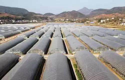 光穩(wěn)定劑HS-80在載重輪胎胎肩膠中的應(yīng)用 光穩(wěn)定劑HS-80在載重輪胎胎肩膠中的應(yīng)用