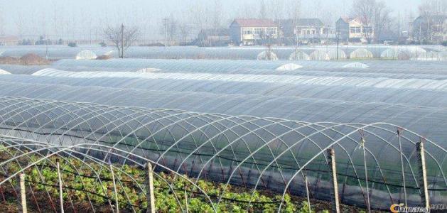 淺析光穩(wěn)定劑的作用