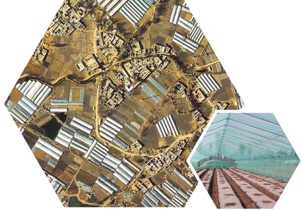 光穩(wěn)定劑在汽車內(nèi)飾中的應(yīng)用：守護駕乘空間的美觀與安全